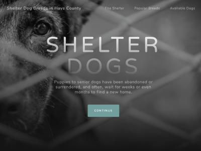 Shelter Dogs Breeds In Hays County