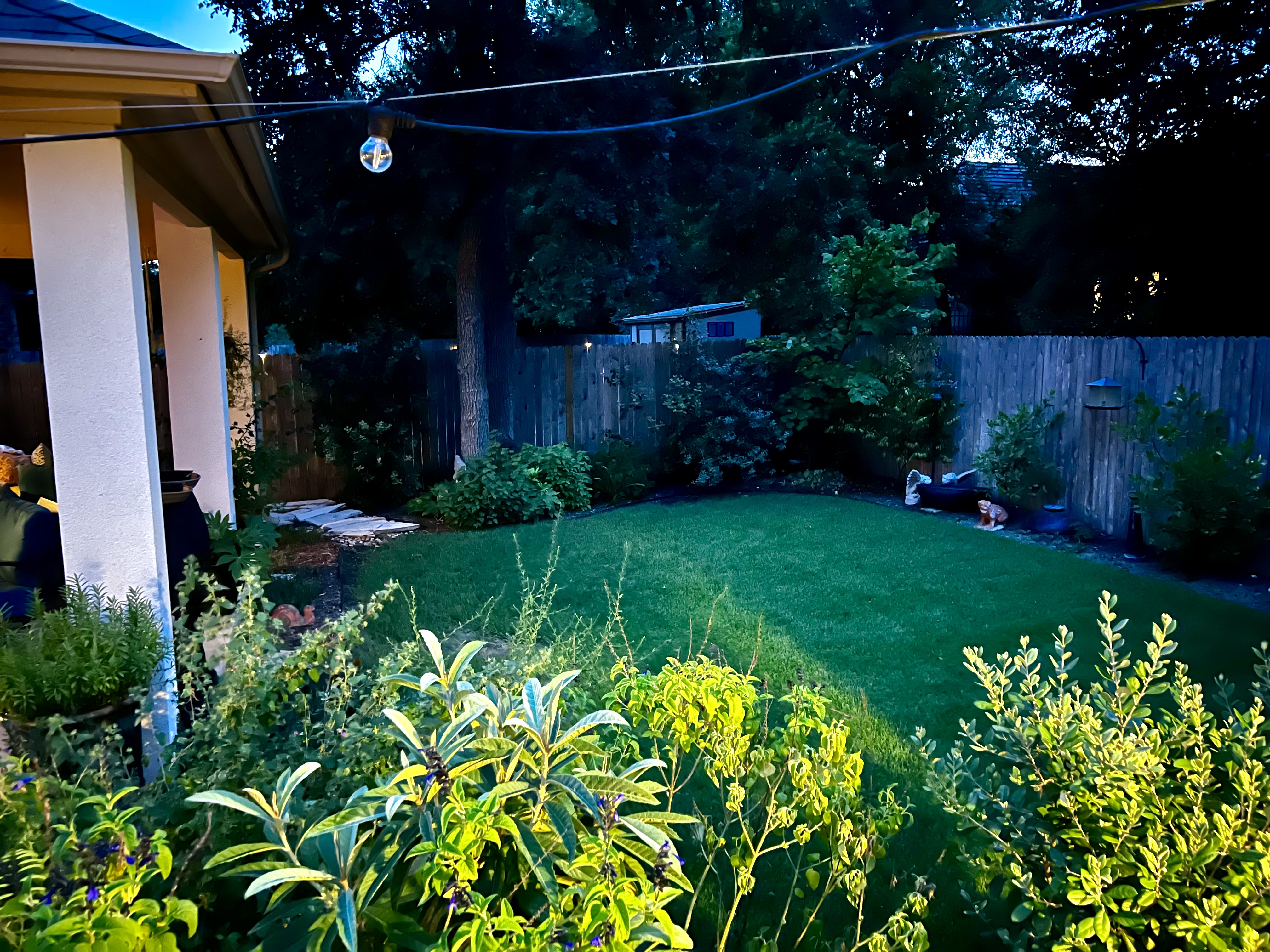 picture of yard